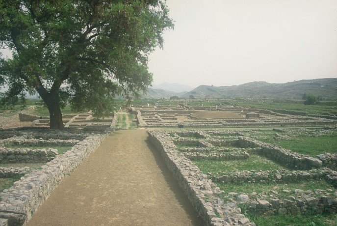 F1050004.JPG-1.jpg.jpg