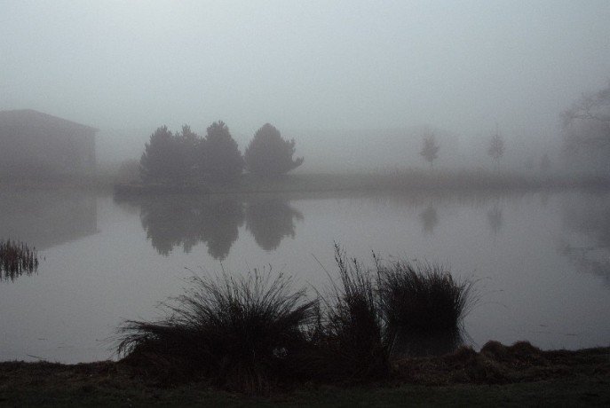 F1390009.JPG-1.jpg.jpg
