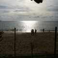IMG_2921.JPG-1.jpg.jpg