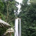 IMG_3183.JPG-1.jpg.jpg